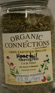 ShaveGrass (Horsetail)